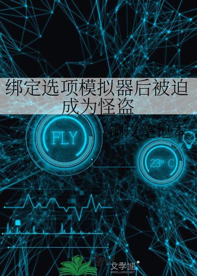 绑定选项模拟器后被迫成为怪盗